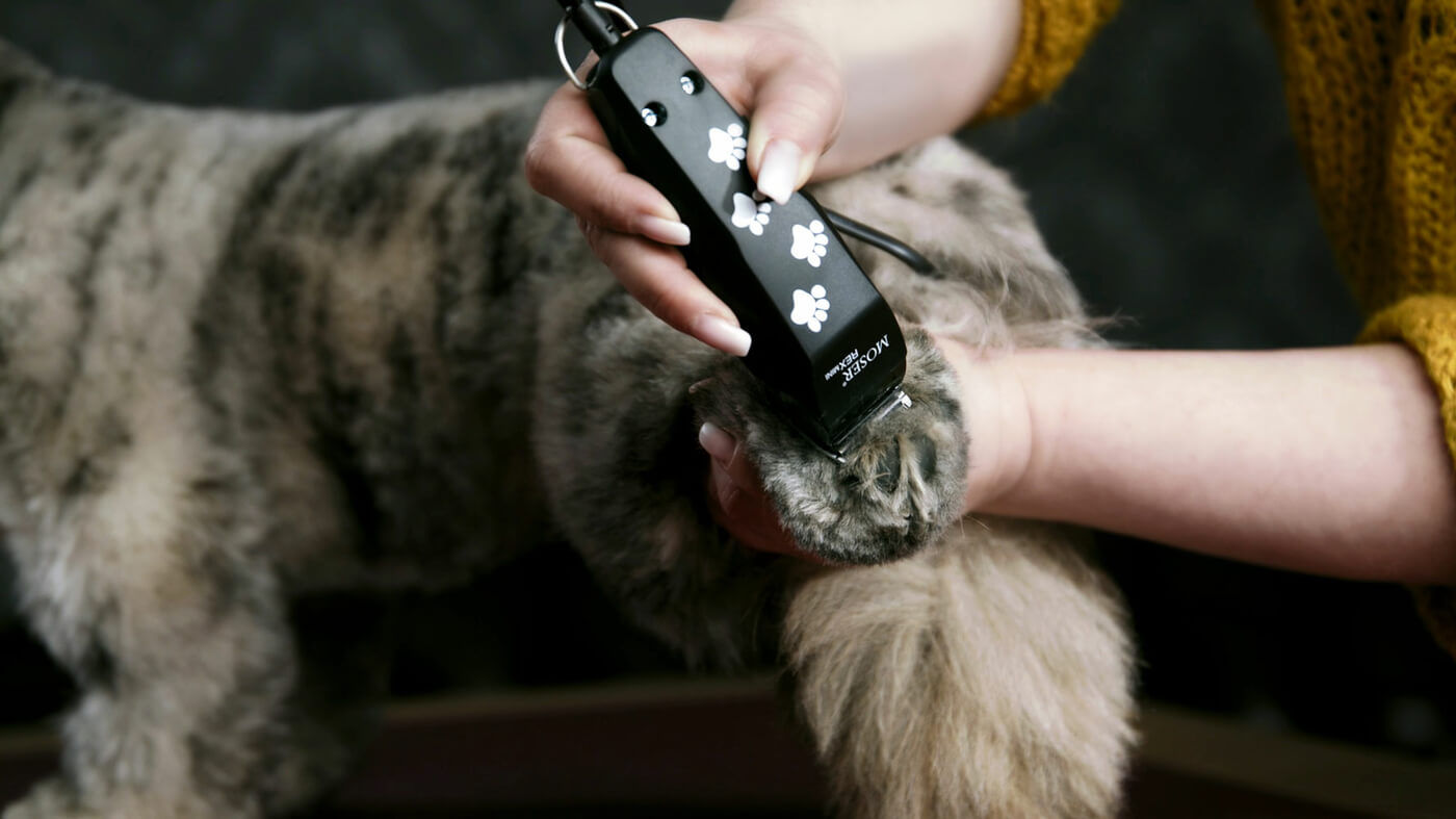 Tilskud mini Lionel Green Street MOSER REX Mini, OUR SMALLEST AND QUIETEST ANIMAL HAIR TRIMMER FOR ALL  PRECISION WORK AROUND THE PAWS, EARS AND FACE 1411-0062